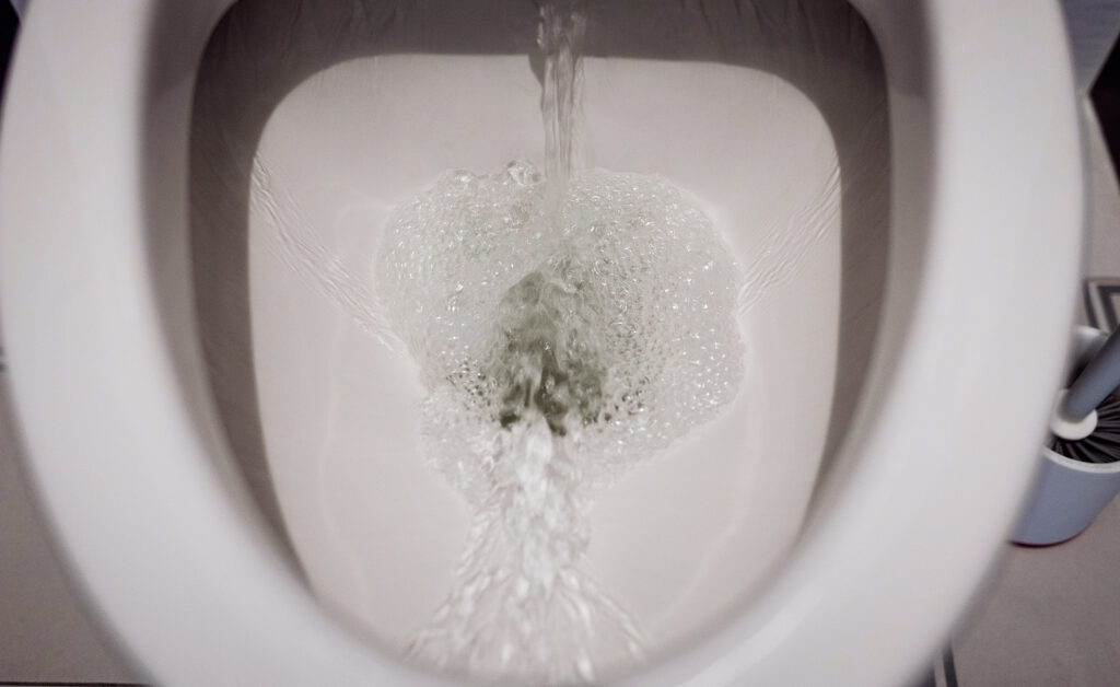 6 Ways to Get a Stronger Toilet Flush in 2023